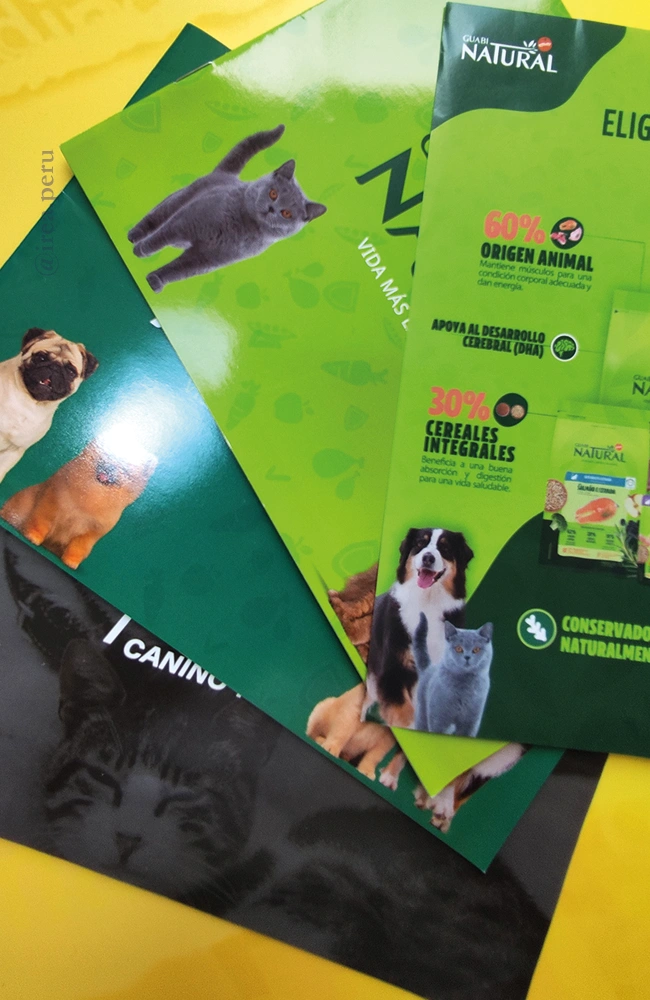 650-PORTAF FOLLETO01